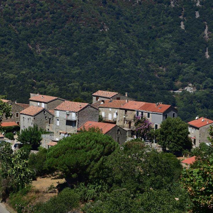 Outdoor terrace seating suitable for families in Zürich